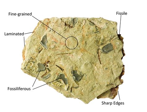 Shale: Identification, Characteristics, and More